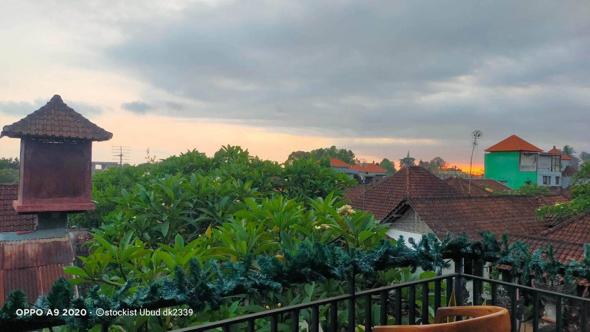 Danu House Ubud Extérieur photo