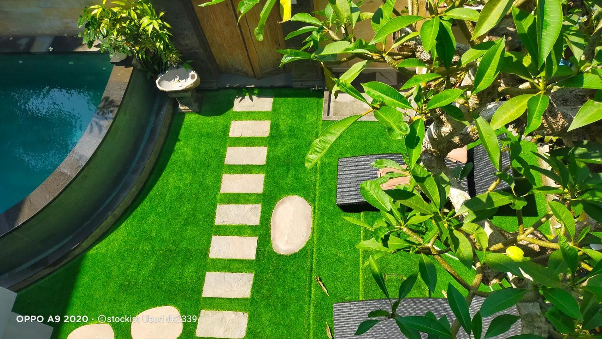 Danu House Ubud Extérieur photo