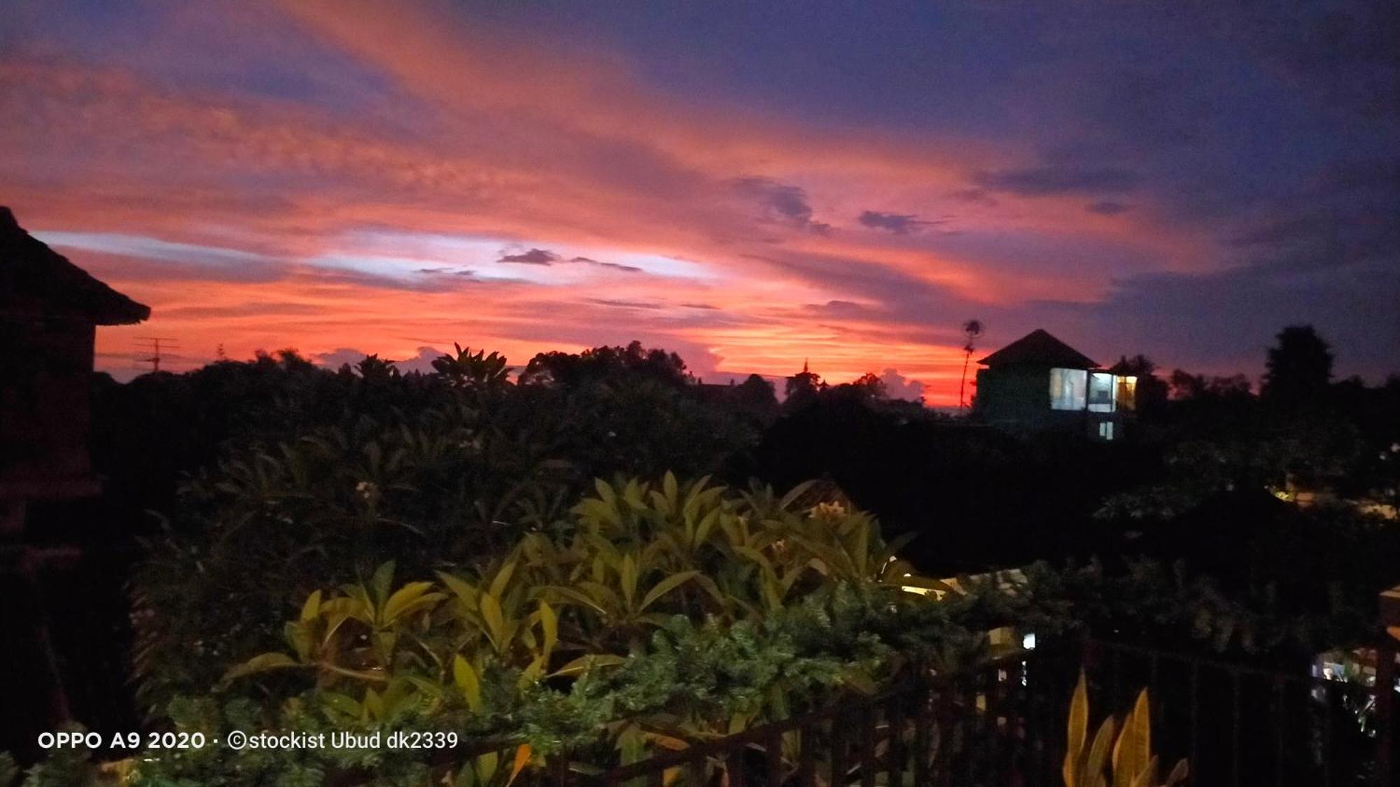 Danu House Ubud Extérieur photo