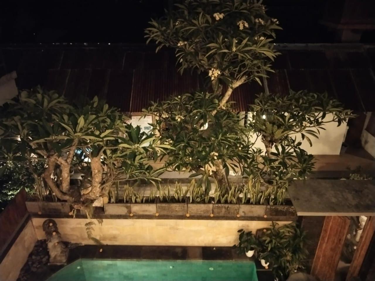 Danu House Ubud Chambre photo